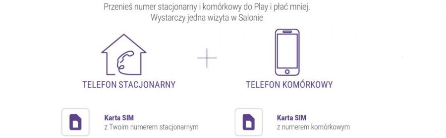 Stacjonarny i komórkowy