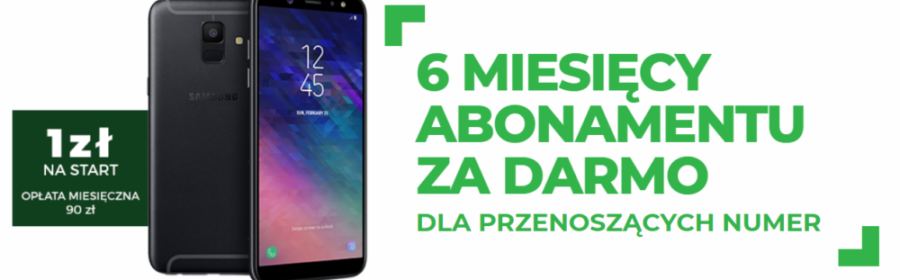 sześć miesięcy