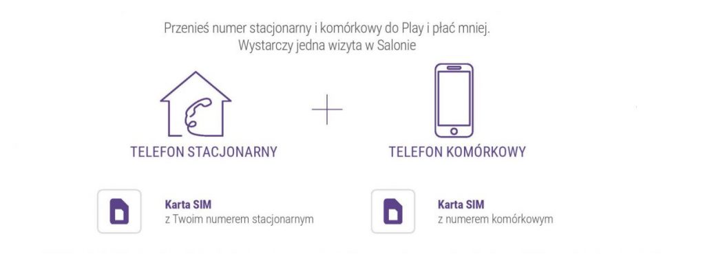 Stacjonarny i komórkowy