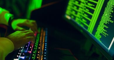 27 potencjalnych ofiar w cztery dni. INTERPOL tropi e-pimping